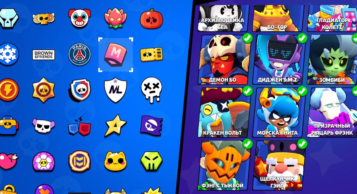 Бойцы, скины и предметы Brawl Stars